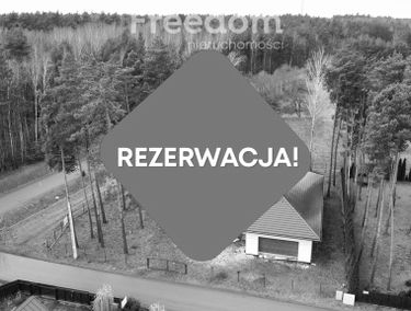 Zdjęcie 15564900