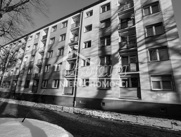 Zdjęcie 15565552
