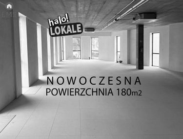 Zdjęcie 15565646