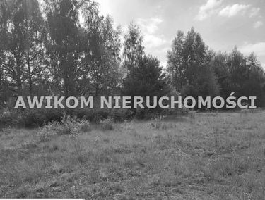 Zdjęcie 15565711
