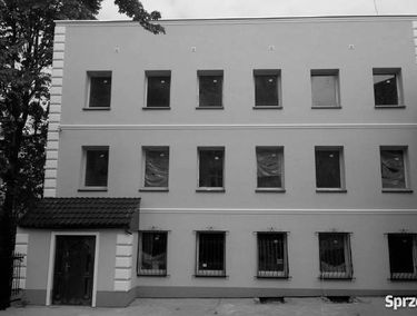 Zdjęcie 15566444