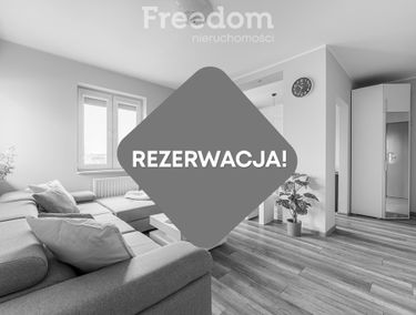 Zdjęcie 15566882