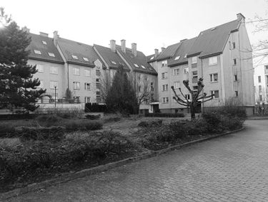 Zdjęcie 15567846