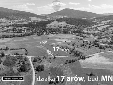 Zdjęcie 15568046