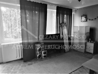 Zdjęcie 15568130