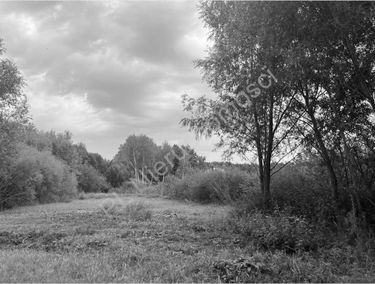 Zdjęcie 15568387
