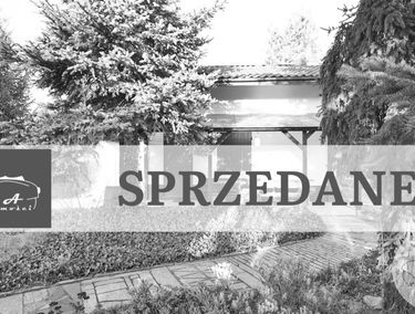 Zdjęcie 15568420