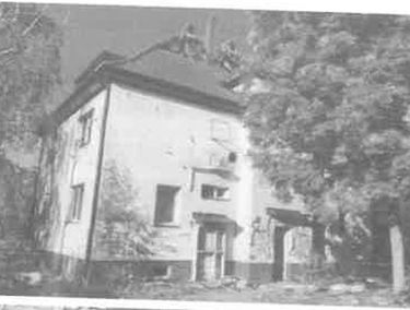 Zdjęcie 15568964