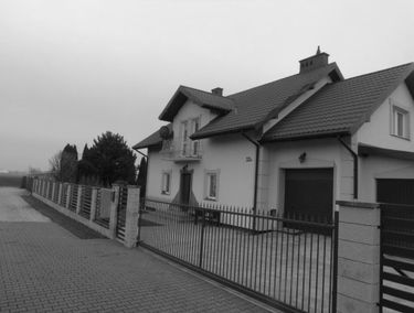 Zdjęcie 15570852