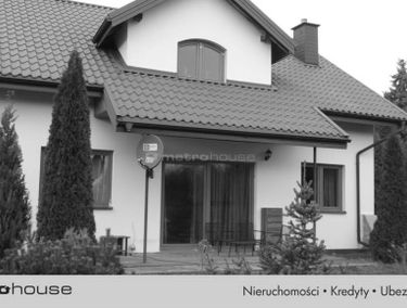 Zdjęcie 15570859