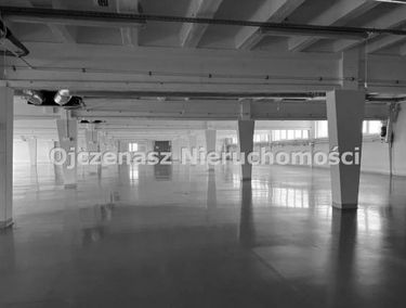 Zdjęcie 15571026