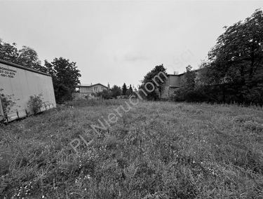 Zdjęcie 15571235