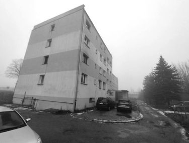 Zdjęcie 15571379