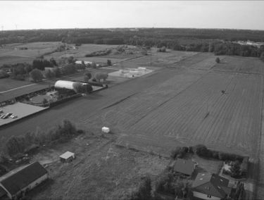 Zdjęcie 15571706
