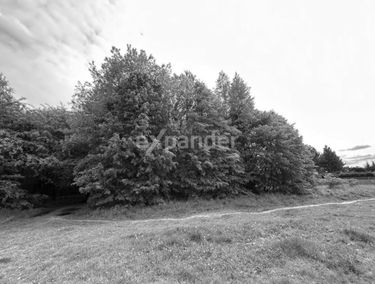 Zdjęcie 15571999
