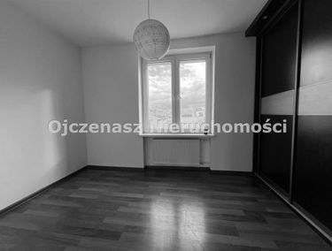 Zdjęcie 15572302