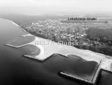 Zdjęcie 15572336