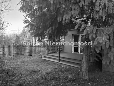Zdjęcie 15572425