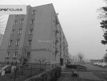 Zdjęcie 15572514