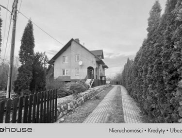 Zdjęcie 15572519