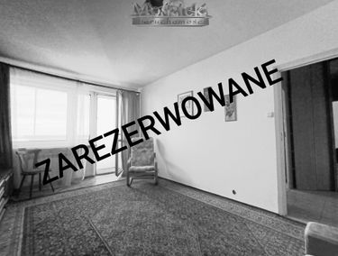 Zdjęcie 15573408