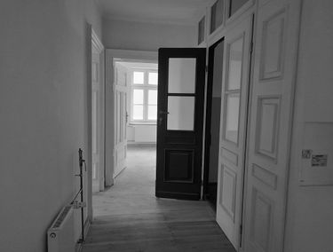 Zdjęcie 15573498