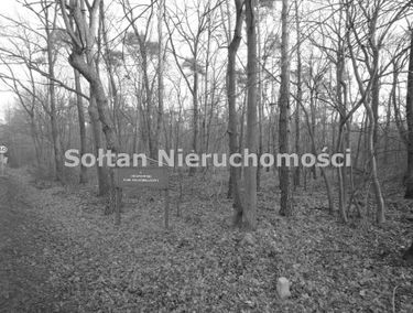 Zdjęcie 15573871