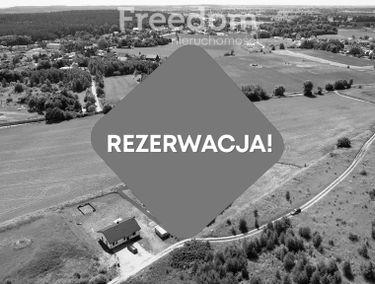 Zdjęcie 15574128
