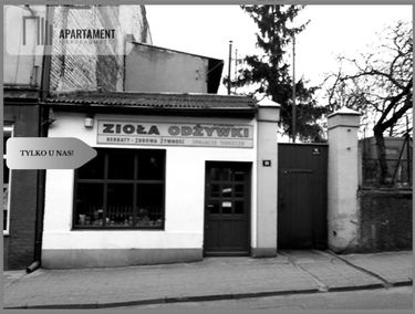 Zdjęcie 15574484