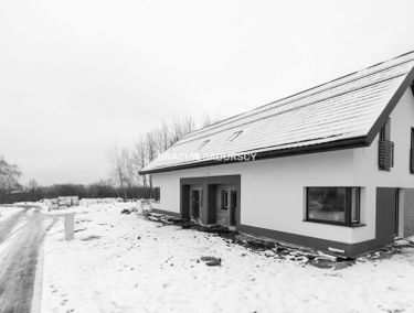 Zdjęcie 15575103