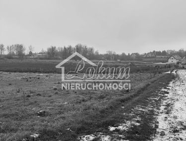 Zdjęcie 15575422