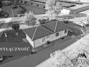 Zdjęcie 15575503