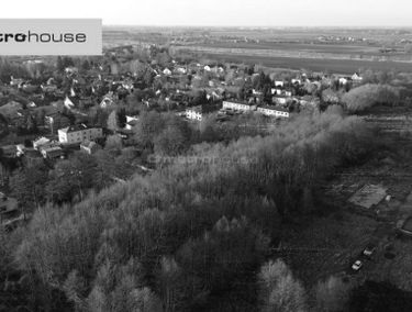 Zdjęcie 15575917