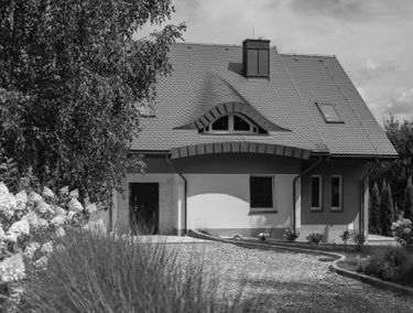 Zdjęcie 15576206