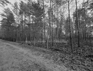 Zdjęcie 15576524
