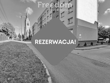 Zdjęcie 15576638