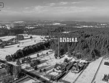 Zdjęcie 15577552