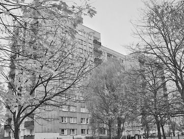Zdjęcie 15577716