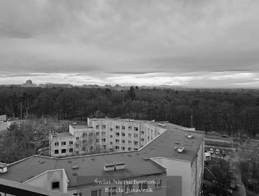 Zdjęcie 15578148