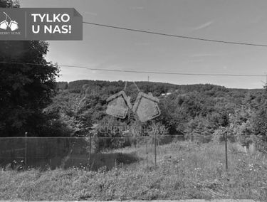 Zdjęcie 15578185
