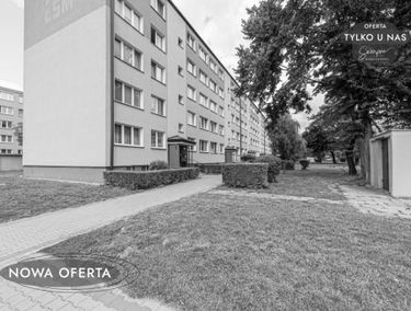 Zdjęcie 15578556