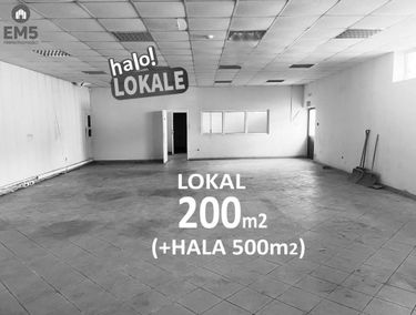 Zdjęcie 15579180