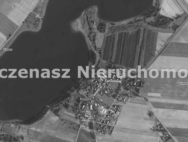 Zdjęcie 15579760