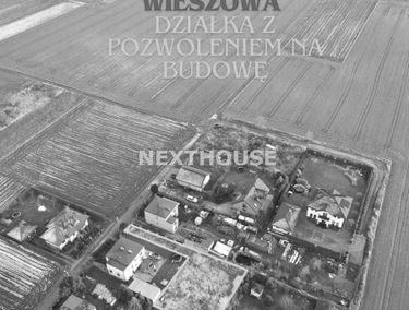 Zdjęcie 15580882