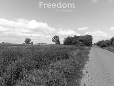 Zdjęcie 15580936