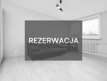 Zdjęcie 15581309