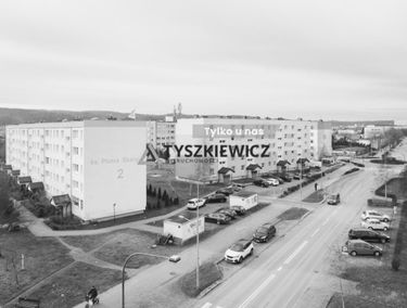 Zdjęcie 15581315