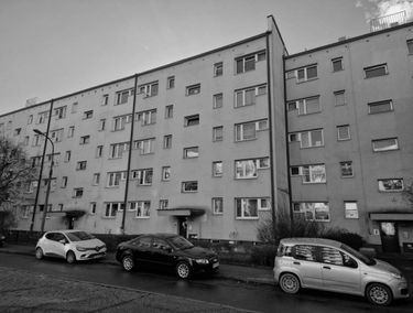 Zdjęcie 15581618
