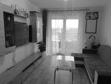 Zdjęcie 15581833