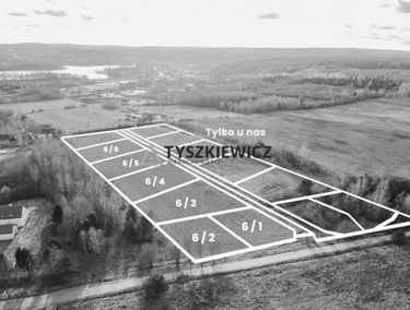 Zdjęcie 15582662